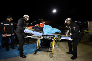 Phà chở 267 người bị mắc cạn, cảnh sát lập tức vào cuộc, 2 thủy thủ bị bắt khẩn cấp