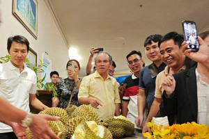 Biên lợi nhuận mảng sầu riêng của HAGL gây bất ngờ với giá bán 79.000 đồng/kg