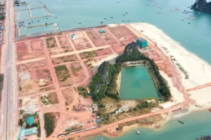 Ngân hàng phát mại 443 thửa đất Ocean Park và mỏ cát trắng ở Vân Đồn