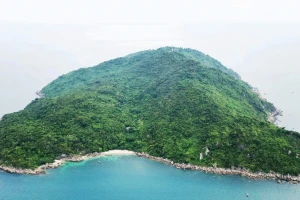 Huế bàn giao nhiều diện tích rừng cho Đà Nẵng