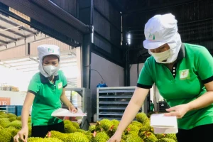 Rau quả Việt xuất khẩu gây bất ngờ