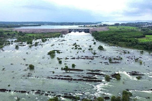 Ngập 600ha hoa màu, Đồng Nai đề nghị Lâm Đồng cung cấp thông tin xả lũ