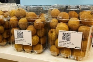 Lào bước vào 'địa hạt' xuất khẩu của Việt Nam, nước ta đang giữ vị trí số 2 toàn cầu