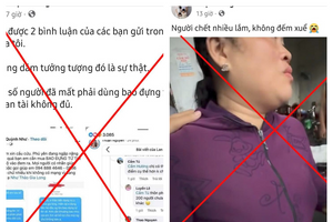 Bác tin 'hàng trăm người chết do sập nhà tránh lũ'