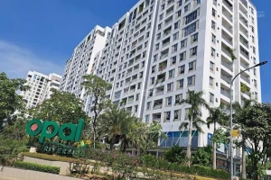 Thêm 4 dự án nhà ở chung cư, đất nền ở TPHCM được cấp sổ