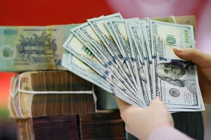 Tỷ giá USD/VND lên đỉnh lịch sử: Hòa Phát hưởng lợi lớn, Novaland, Vietnam Airlines đối mặt khoản lỗ hàng trăm tỷ đồng