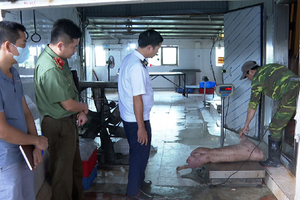 Vợ chồng chủ trang trại ở Hưng Yên tuồn thịt lợn nhiễm dịch tả châu Phi ra thị trường