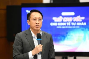 Phó Cục trưởng Cục Thuế: Khai sai, trốn thuế chủ yếu rơi vào KOLs và kinh tế cá thể