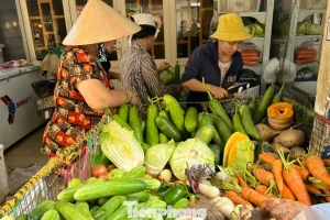 Hà Nội: Giá rau xanh có loại 180.000 đồng/kg, tôm hùm chỉ 200.000 đồng/kg