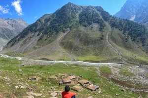 Nghề như 'cướp' ra tiền, không cần bằng cấp: Làm 1 tháng sống khỏe 2 năm, vẫn không ai chịu làm