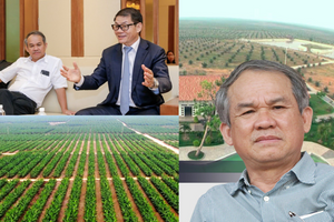 Mô hình '4 cây 1 con' của bầu Đức: Chuối đi Nhật, sầu riêng đi Trung, sợi dệt đi Ấn, cà phê đi khắp nơi còn heo ăn chuối thì 'đi vào quên lãng'