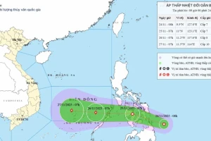 Biển Đông sắp đón bão 15, hướng về Bình Định – Bình Thuận cũ