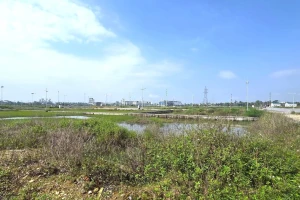 Choáng với giá hơn 12 tỷ đồng một lô đất cấp xã ở Nghệ An