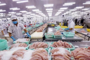 Châu Âu siết mạnh truy xuất nguồn gốc thủy sản