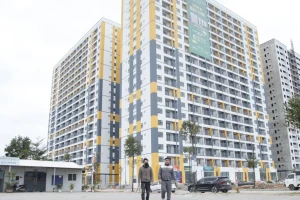 Bán hơn 3.000 căn nhà ở xã hội giá từ hơn 13 triệu/m2