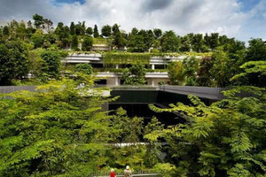 Bất động sản dưỡng lão vào ‘tầm ngắm’ của doanh nghiệp: Vingroup, Novaland, Sun Group sẽ đi trước đón đầu?