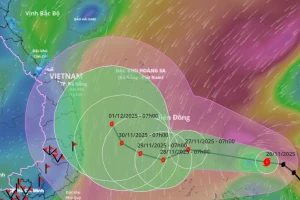 Bão số 15 diễn biến rất khó lường