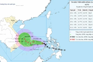 Bão số 15 có ảnh hưởng đến TPHCM và Nam Bộ?