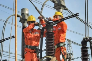 Đề xuất quy định đánh giá lại tài sản tại công ty con của EVN