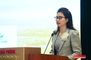 Quý III/2025: 113 dự án BĐS Hải Phòng được phê duyệt, nguồn cung tăng mạnh sau nhiều năm trầm lắng