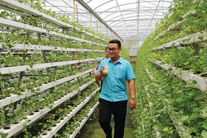 Kinh tế tuần hoàn: Vướng nhất không phải ở luật, mà ở thực thi