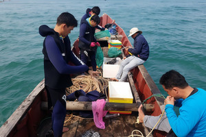 'Hải sản nhà giàu' của Việt Nam được thị trường Trung Quốc ráo riết săn đón, khiến cả Canada và Mỹ bị bỏ xa