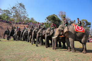 Tỉnh được mệnh danh là 'thủ phủ cà phê' của Việt Nam, là nơi vua Lê Thánh Tông mở mang bờ cõi trong sử Việt