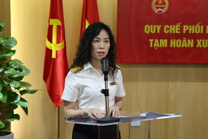 Lãnh đạo Cục Thuế: Không đặt nặng vấn đề truy thu hay xử phạt trong giai đoạn đầu kê khai thuế