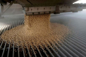 Ông Trump tiết lộ cuộc gọi với ông Tập: Chỉ một câu nói, Trung Quốc lập tức mua hàng trăm triệu USD 'hạt vàng' của Mỹ