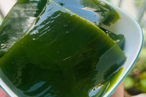 Không cần đất tốt, không cần chăm nhiều loại cây này vẫn đem về 2 tỷ mỗi năm cho nông dân