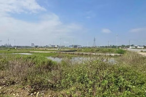 Một lô đất cấp xã ở Nghệ An gây 'sốc' với giá khởi điểm hơn 12 tỷ đồng