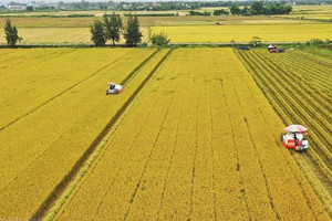 Kể từ nay, người sở hữu nhiều đất nông nghiệp sẽ hưởng lợi lớn