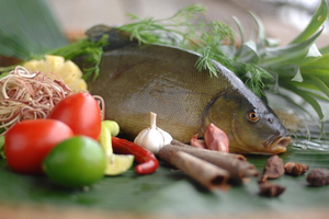 Loài cá 'thơm mùi quế' gây sốt thị trường, giá gần 200.000 đồng/kg vẫn khan hiếm