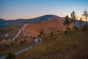 Cách Hà Nội chỉ 2 tiếng đi xe có một đồi cỏ cháy đẹp như phim Hàn Quốc, rất nguyên sơ, cắm trại đẹp đỉnh