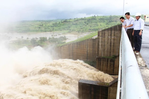 Tổng Giám đốc, Trưởng phòng, Quản đốc hồ thủy điện ở Đắk Lắk làm việc với cơ quan chức năng