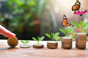 Một doanh nghiệp thuỷ điện chi trăm tỷ trả cổ tức bằng tiền tỷ lệ 15%