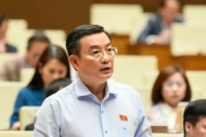 Chuyển đổi số không thể 'trăm hoa đua nở nhưng kín cổng cao tường'