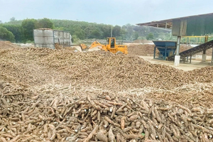 Trung Quốc rốt ráo gom 'vựa lúa dưới lòng đất' của Việt Nam, thu mua hơn 95% sản lượng