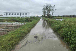 Ngôi trường gần 25 tỷ, từng bị bỏ hoang chính thức đi vào hoạt động