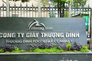 Sức nóng thoái vốn đẩy cổ phiếu tăng liên tiếp