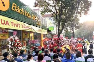 MWG: Bách Hóa Xanh đổ bộ miền Bắc, khai trương đồng loạt 20 cửa hàng, tung chính sách sốc 'khó tin'