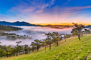 Công ty con của TTC Group làm khu du lịch sinh thái gần 500 tỷ tại 'tiểu Paris' của Việt Nam