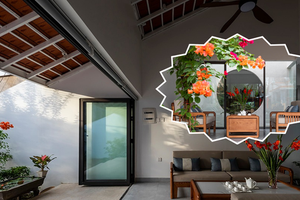 Căn nhà hồi sinh nếp sống xưa giữa lòng đô thị ồn ã