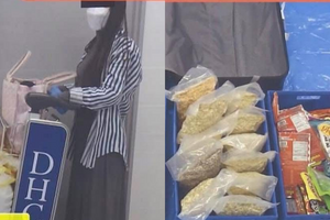 Truy tố 2 người Việt ‘tuồn’ 31kg cần sa vào Nhật, trị giá hơn 26 tỷ đồng