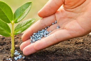 Campuchia chi 249 triệu USD để mua hơn 600.000 tấn hàng quan trọng từ Việt Nam: Nước ta sản xuất 8 triệu tấn/năm, vừa bỏ túi hơn 747 triệu USD