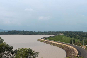 Một doanh nghiệp thủy điện ‘chốt’ nộp 19 tỷ thay cho việc tự trồng và chăm sóc 155ha rừng