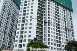 Giá nhà ở tăng gấp 3 lần thu nhập của người dân