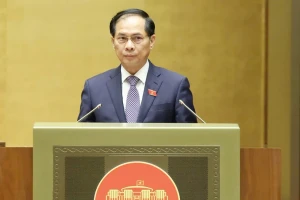 Chính phủ đề xuất TP.HCM thành lập Khu Thương mại tự do