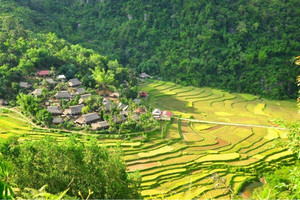 Nông nghiệp bền vững: Giải pháp công nghệ để tăng sản lượng và giảm phát thải