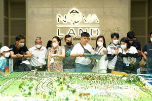 Novaland (NVL) giảm gần 300 tỷ đồng vốn góp tại một công ty con bất động sản